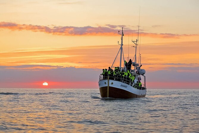 Whales and Puffins Tour from Husavik - Húsavík Harbor Starts the Adventure