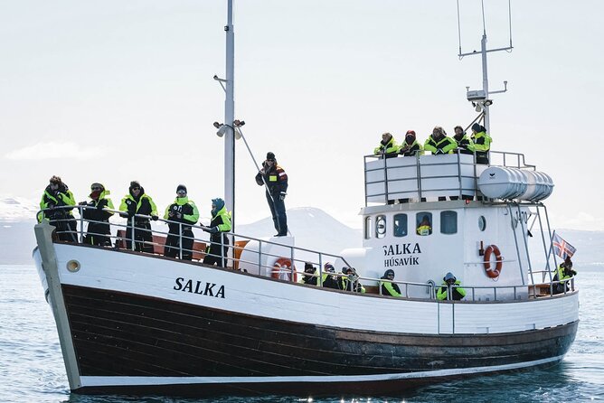 Whales and Puffins Tour from Husavik - Who Should Book This Húsavík Tour?