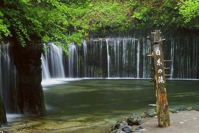 Wild Bird Sanctuary Forest Guided Tour in Nagano - A good fit for families and mixed-age groups