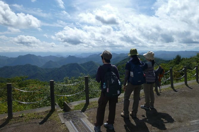 Wild Bird Sanctuary Forest Guided Tour in Nagano - Price, binoculars, and what the $16.42 fee covers