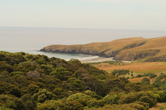 Wildlife and Penguin Tour - Part three: the reserve bus ride and 2-kilometre walk