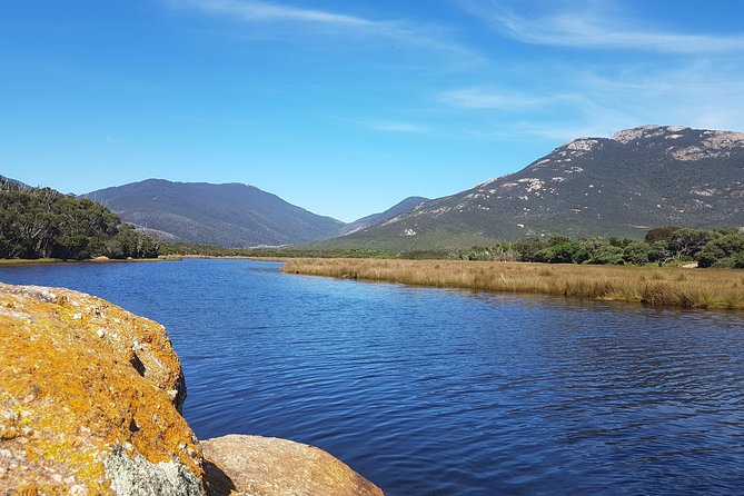 Wilson's Promontory & Phillip Island - 'Prom & Penguins' Tour - Lilly Pilly Gully and the rainforest option