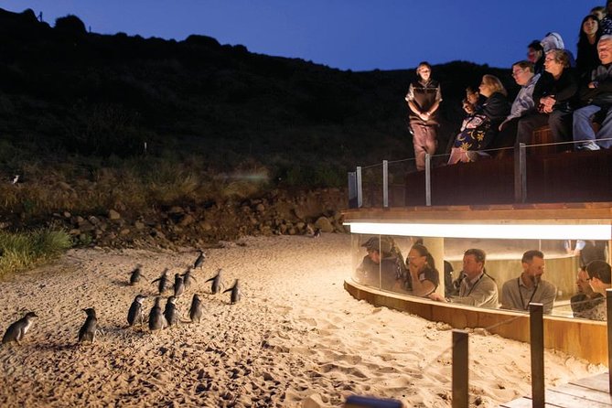 Wilson's Promontory & Phillip Island - 'Prom & Penguins' Tour - A picnic lunch using local produce