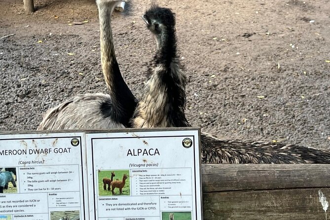 World of Birds, Kirstenbosch and Constantia Wine Private Day Tour - Key points at a glance