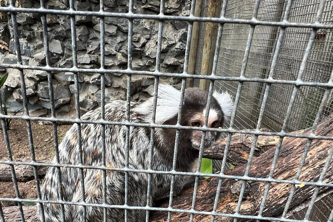 World of Birds, Kirstenbosch and Constantia Wine Private Day Tour - Practical details worth knowing before you go
