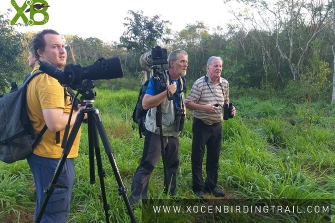 Xocen Birding - Key points before you book