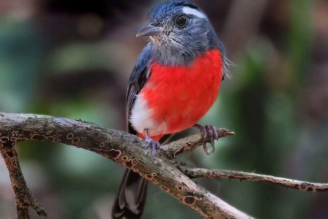 Xocen Birding - A 6:00 am start through four kinds of habitat