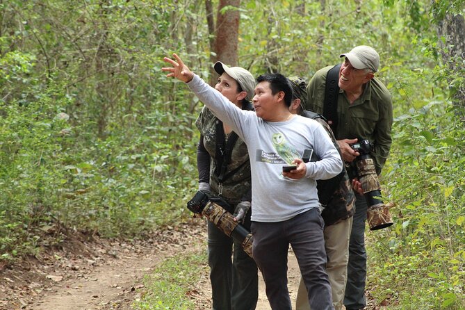 Xocen Birding - The birds you may be seeking