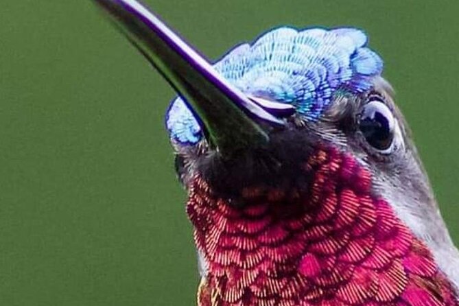 Yerette Home of the Hummingbird - Theo and Gloria’s personal approach