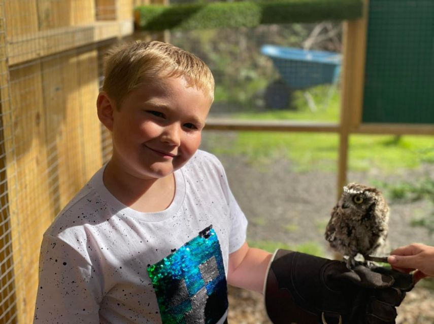 York: Entry to York bird of prey centre - Key points to know before you go